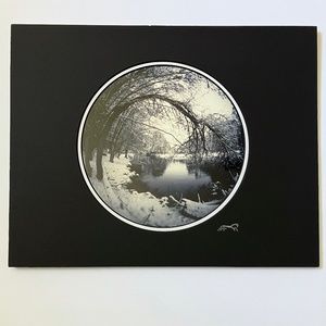 Limited edition tree in winter print - nature art photography print